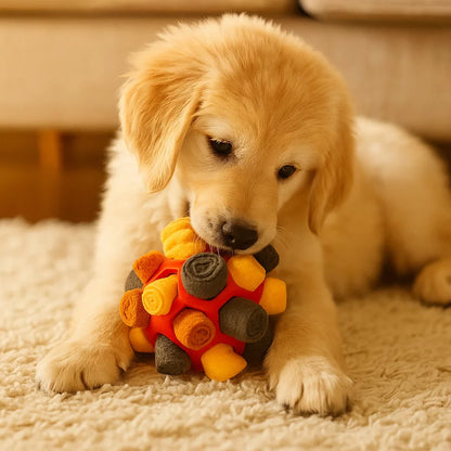 Svanslycka - Lek, nos och belöning i ett